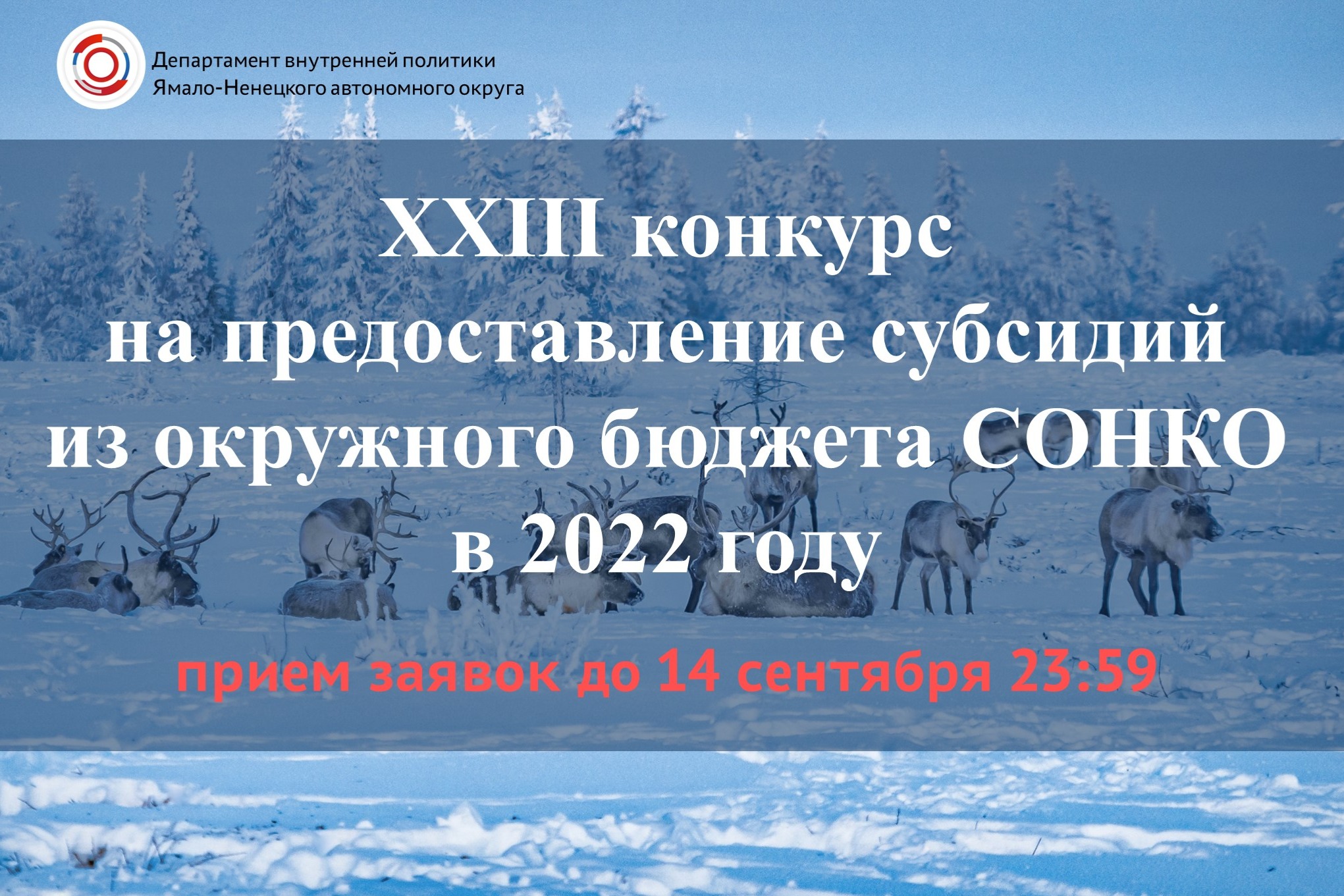 Подробнее о статье Стартовал прием заявок на участие в XXIII конкурсе по предоставлению субсидий из окружного бюджета СОНКО